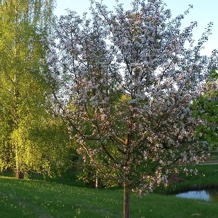 Namins Brivini * Jaunjelgava